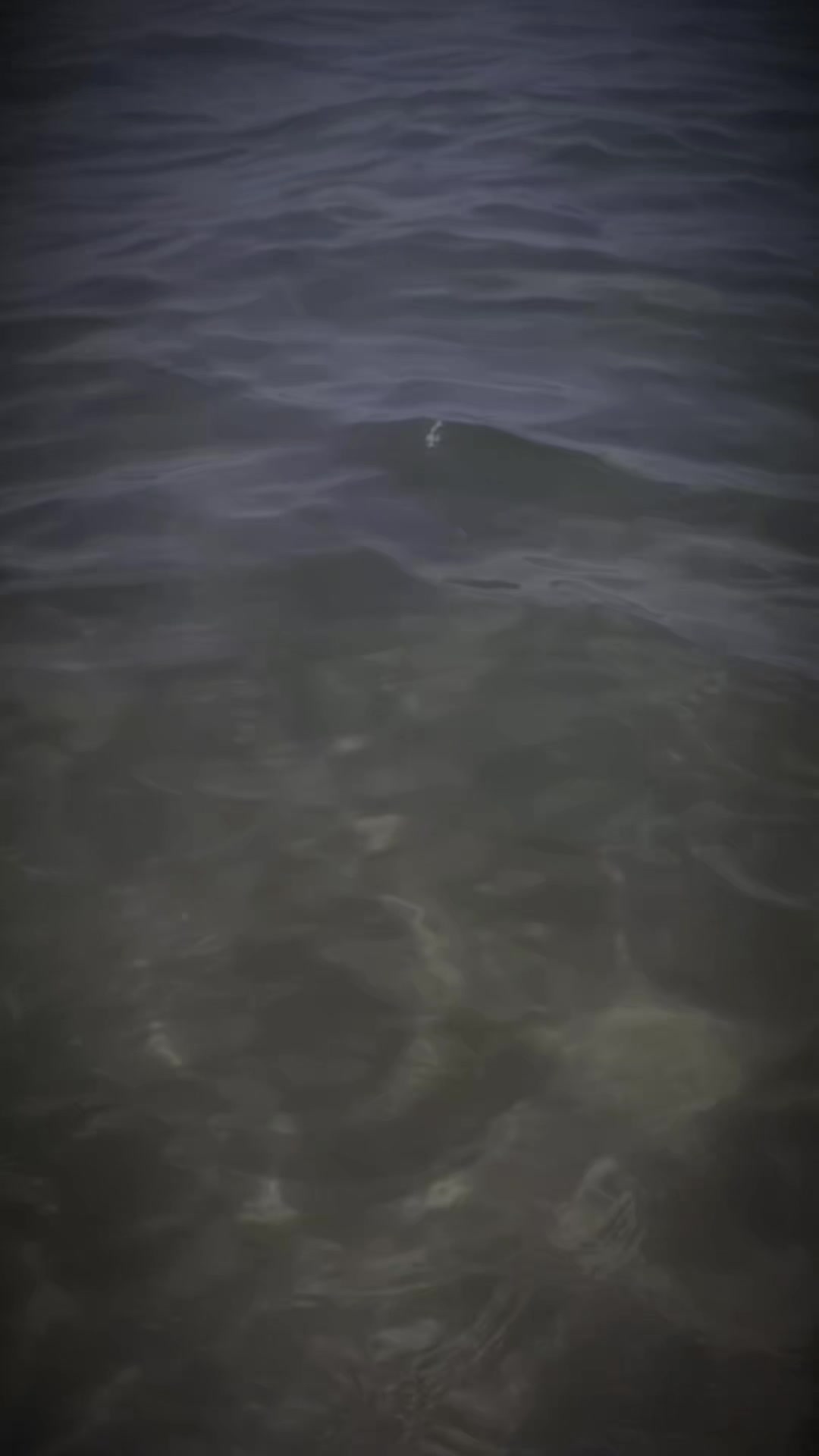 @AlexMD