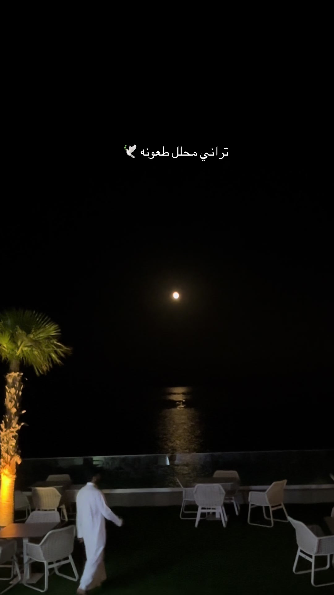 @﮼هديل﮼الخبر 🇸🇦🕊️📸