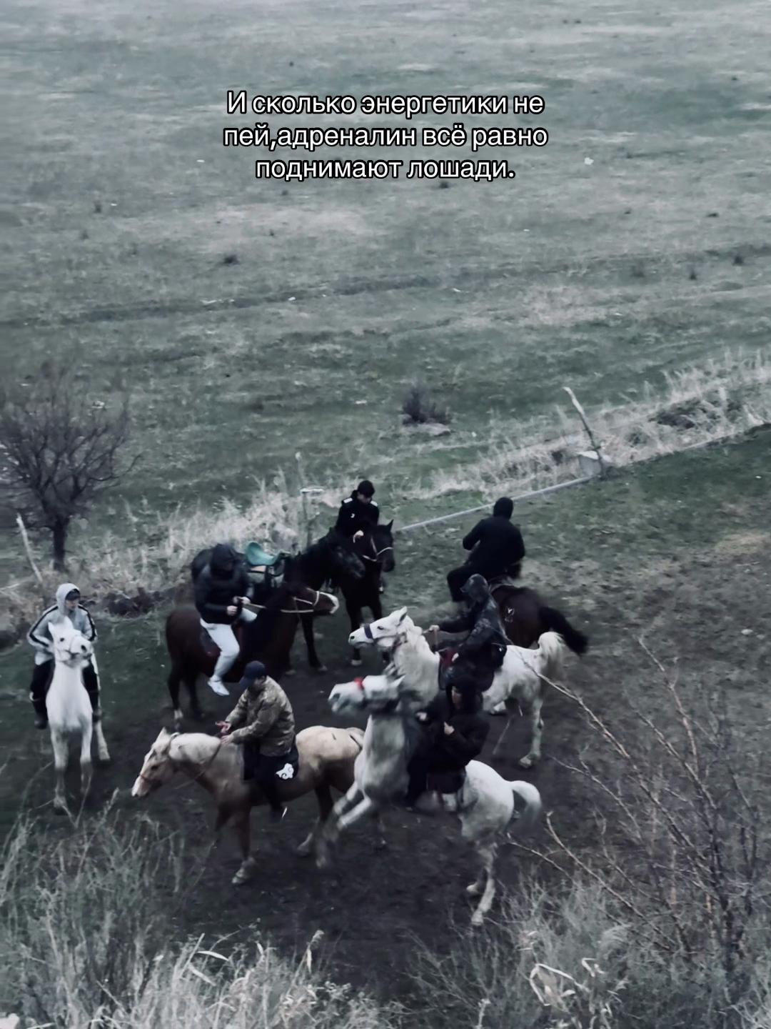 @𝐁𝐄𝐊𝐎𝐒𝐇
