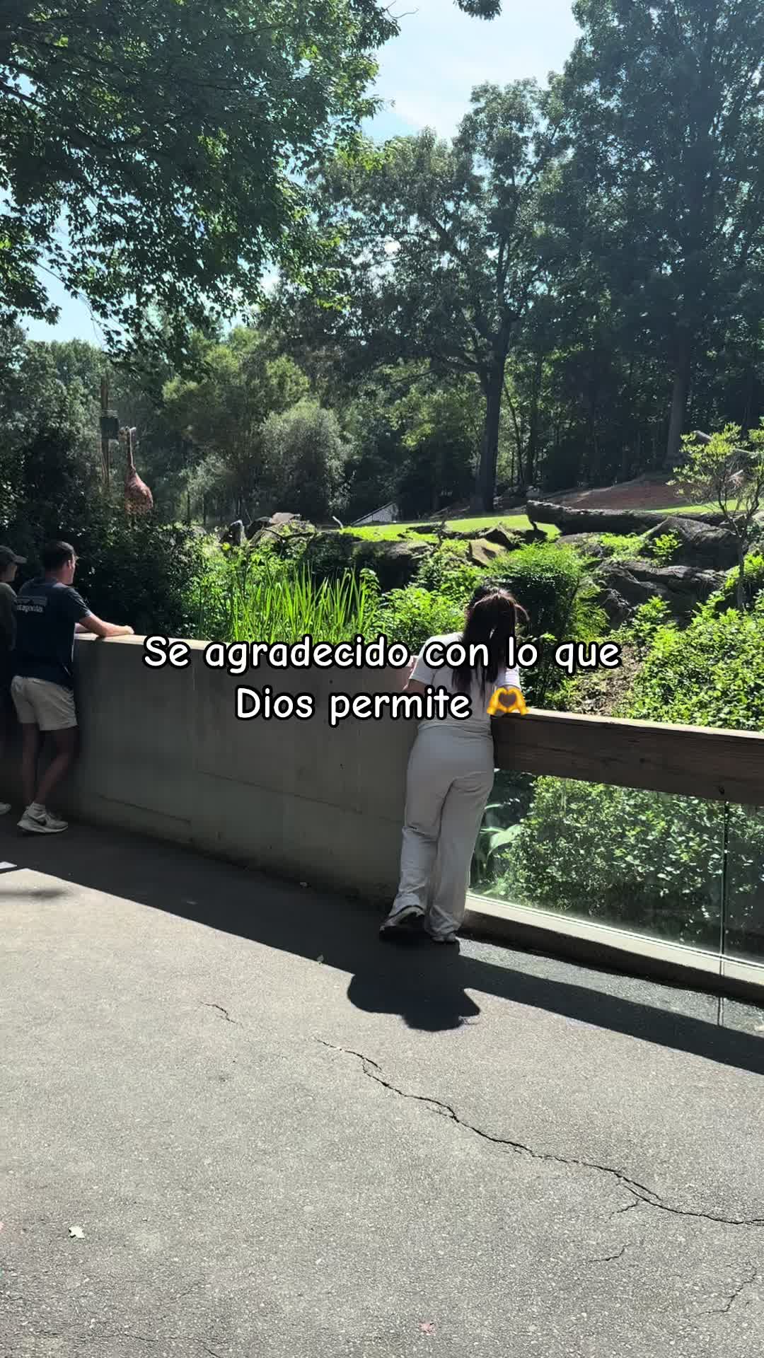 @M’Fer🤍