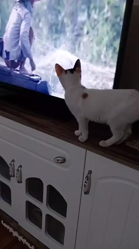 @💞S̴E̴V̴D̴A̴ ̴💞KEDİ💞