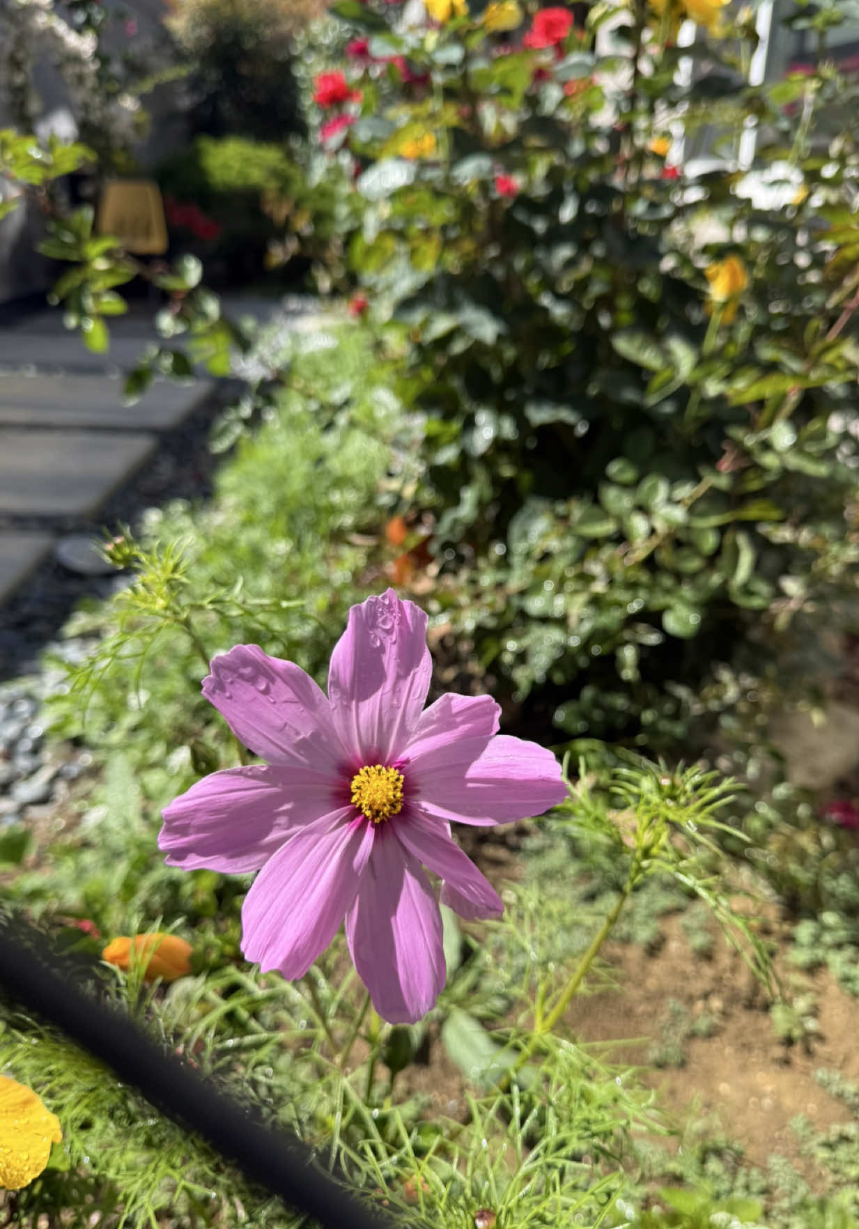 @ʏᴜᴋɪɪ ᵒ̴̶̷̤ꇴᵒ̴̶̷̤