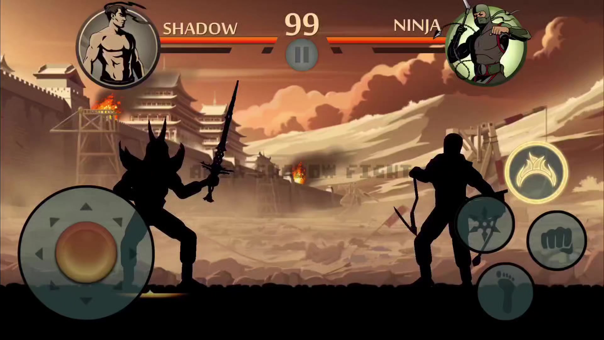 @Amir Shadow Fight
