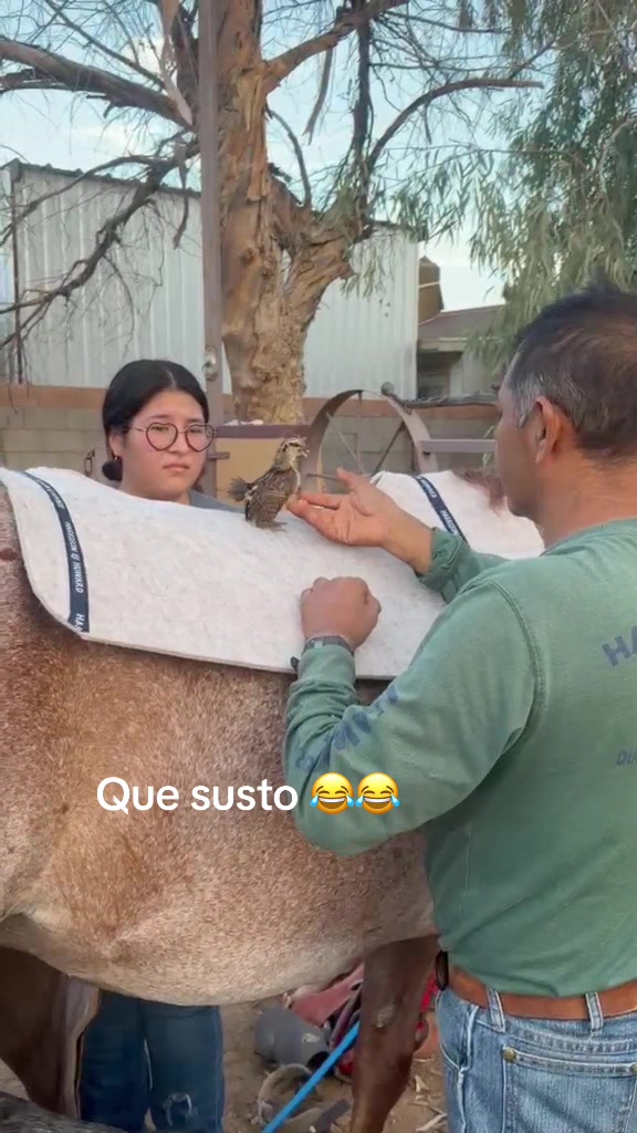 @cuquita_ortega