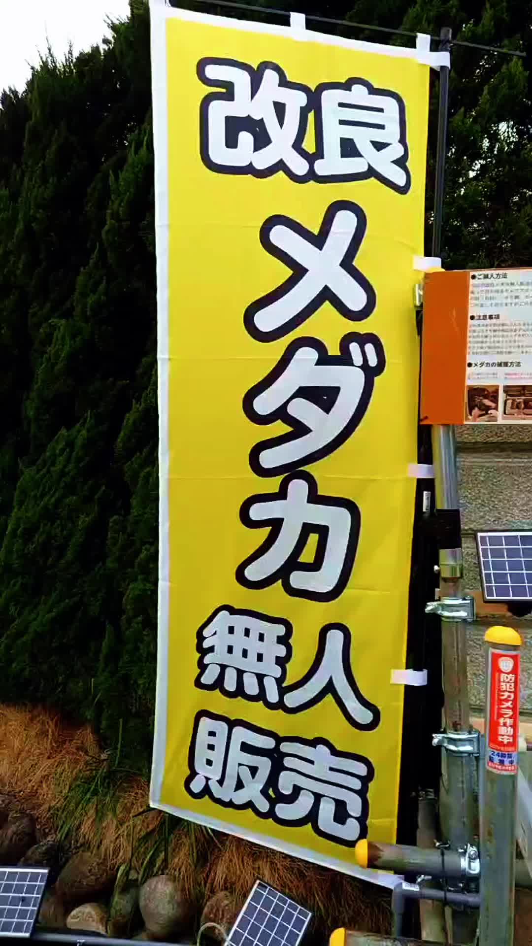 @gmmedaka.niigata