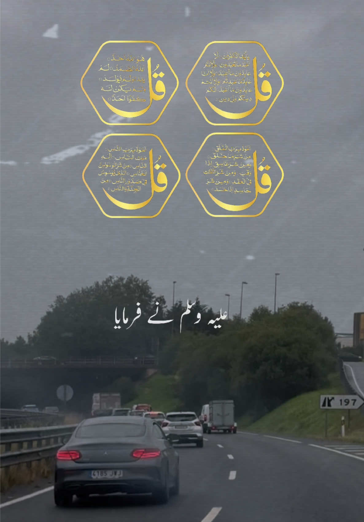 @Dr Sana 4696