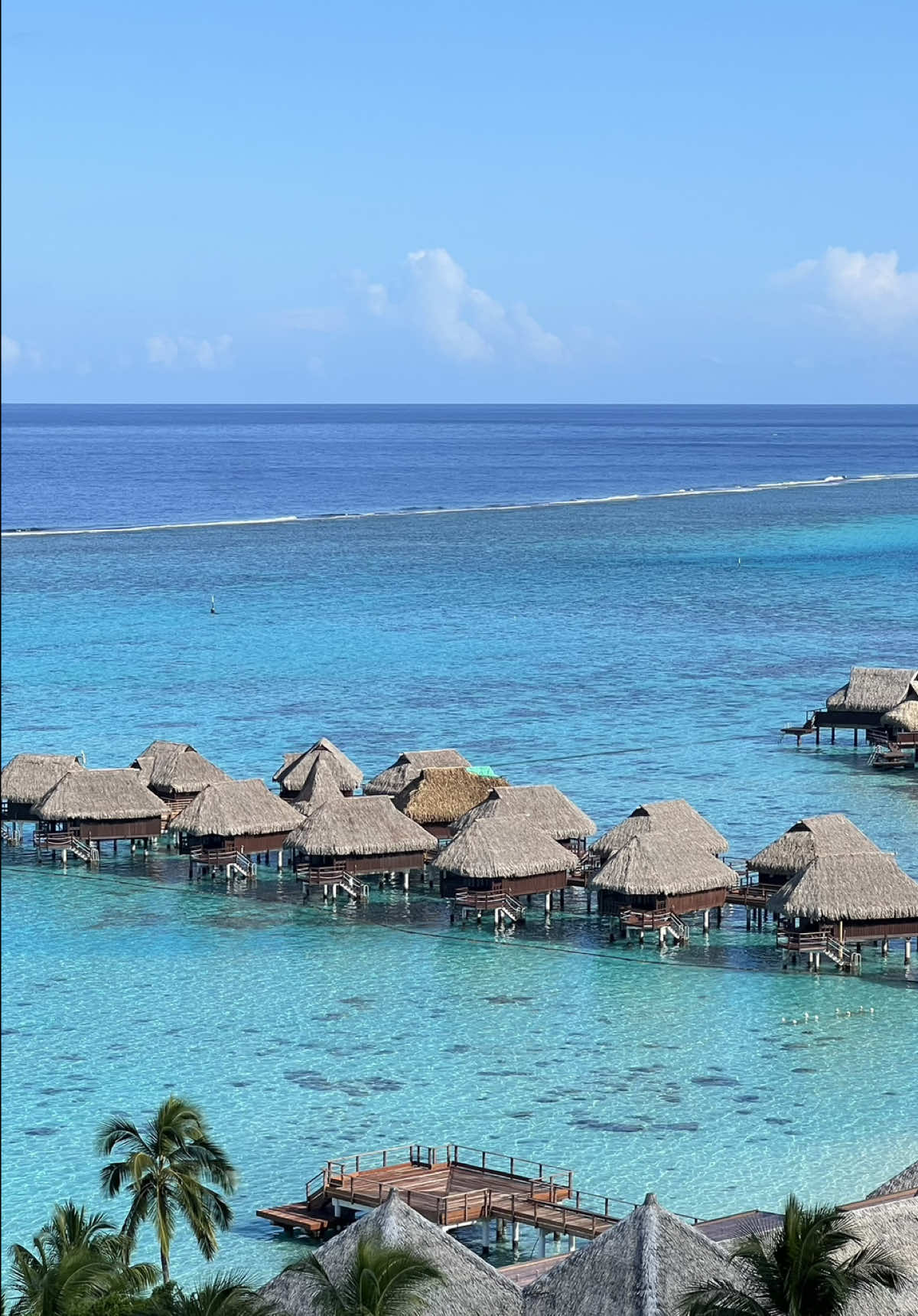 @Marine| Travel Planner Creator