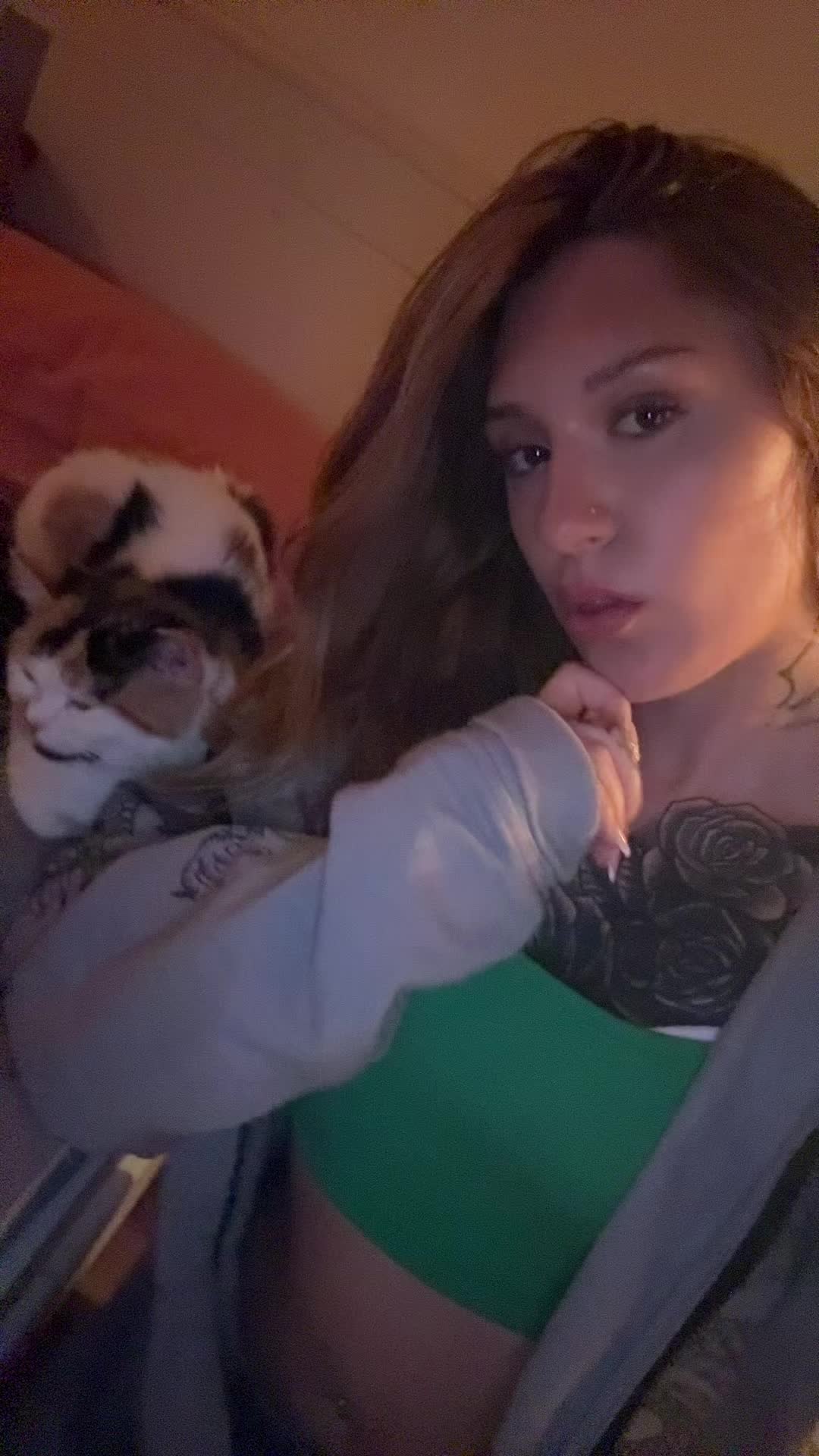 @cia.stc