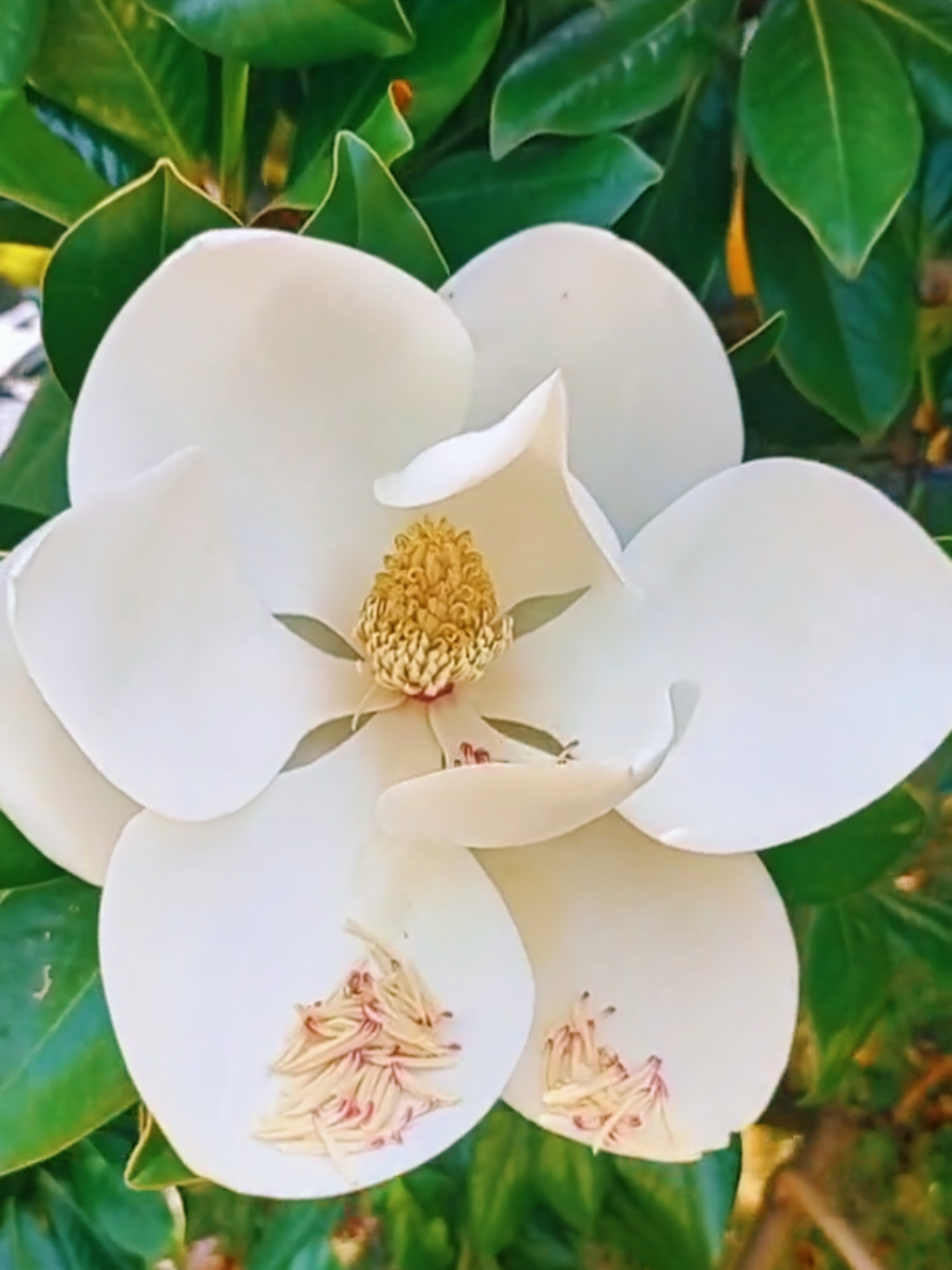 @Марина 🌹🍃