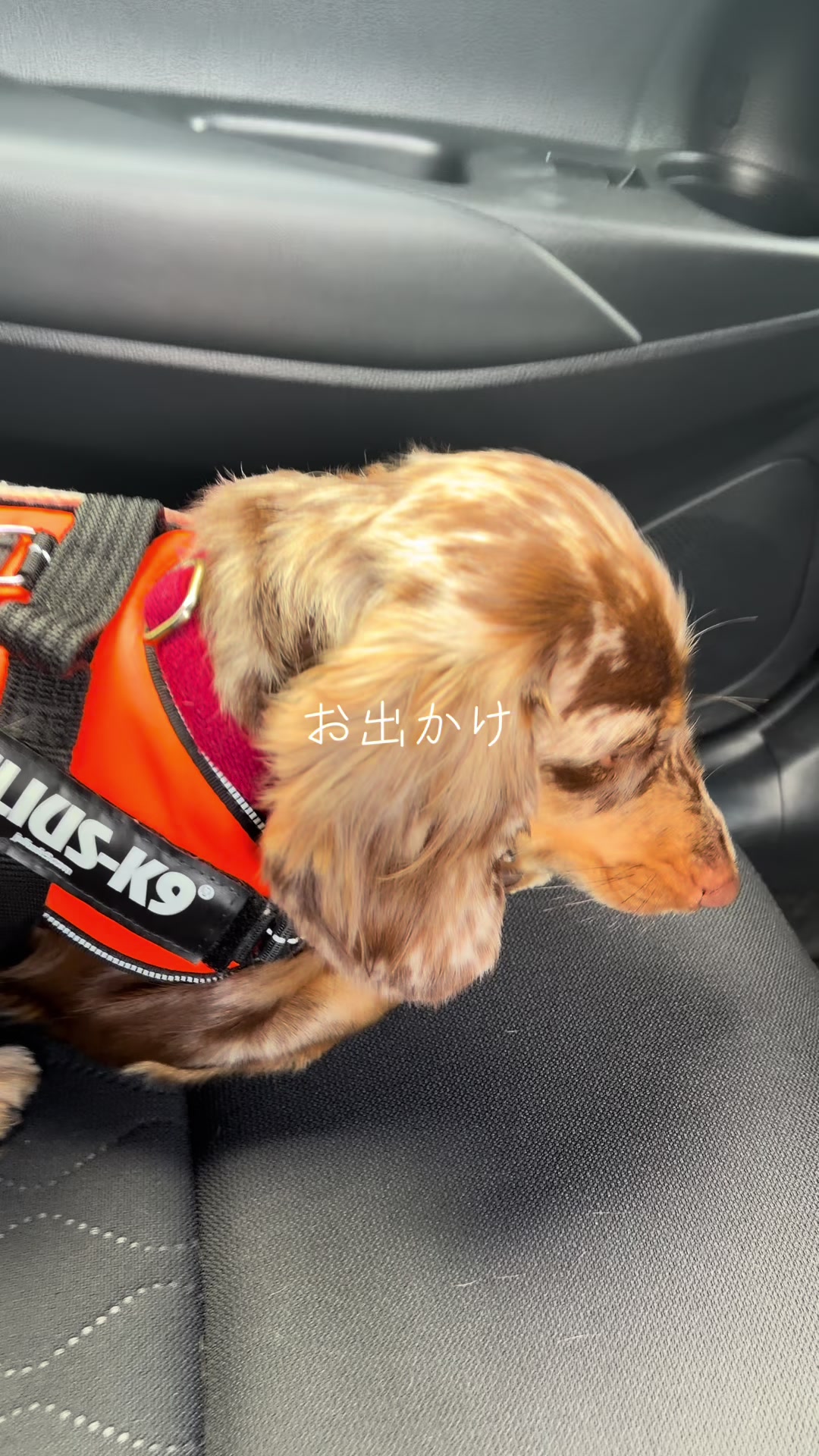@ケン