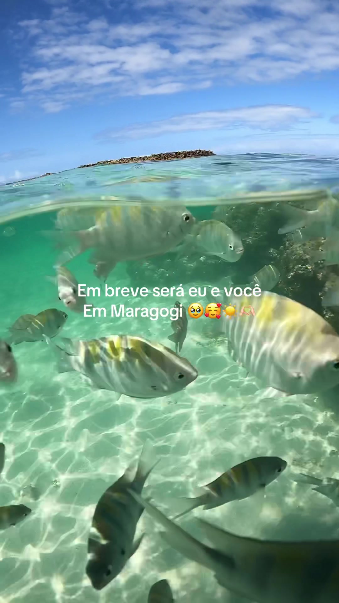 @Agência Lagoa Azul Maragogi🐠