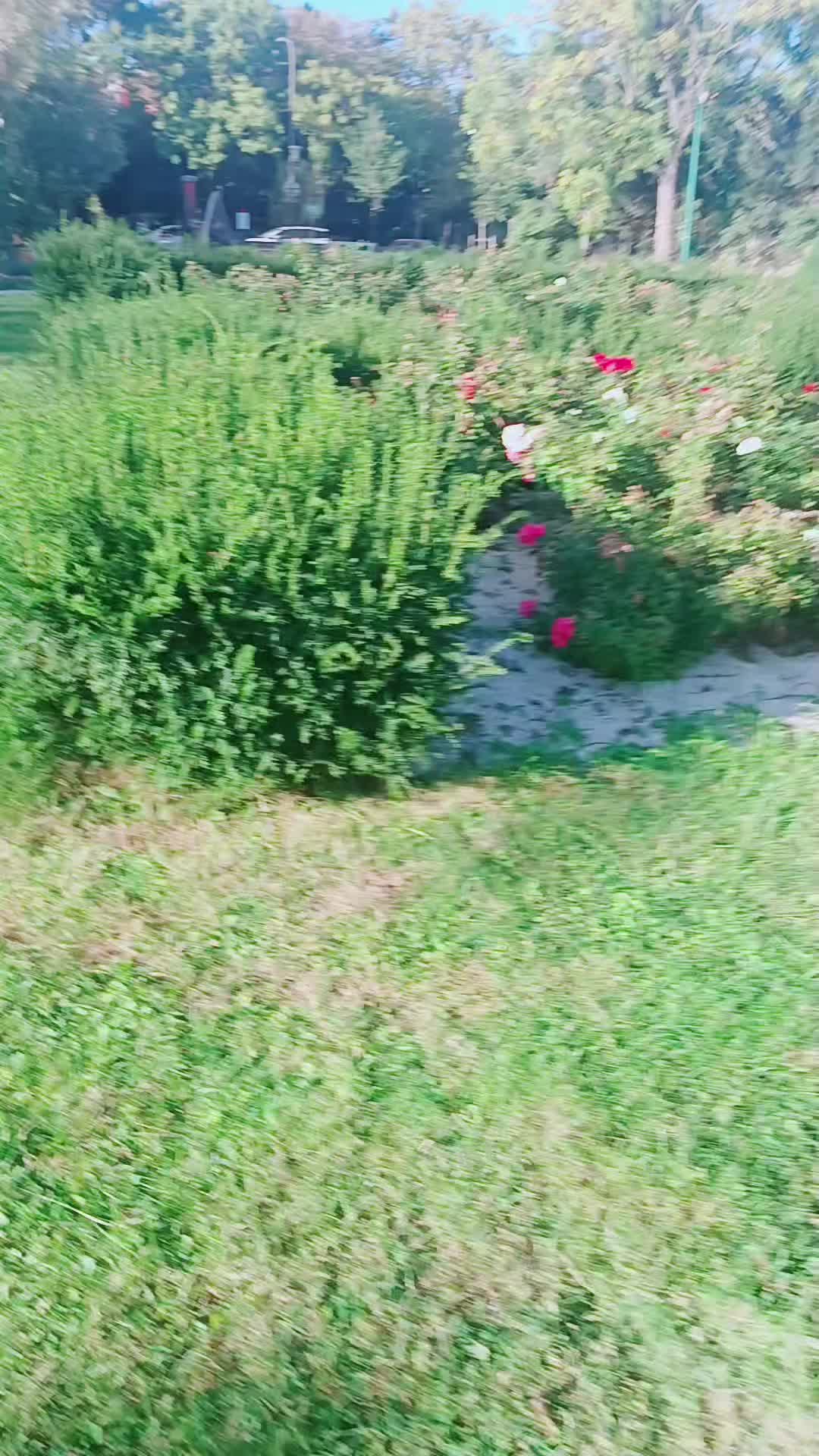 @Liza77🇨🇵