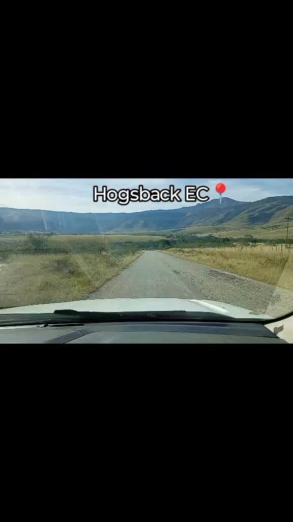 @Thulani218