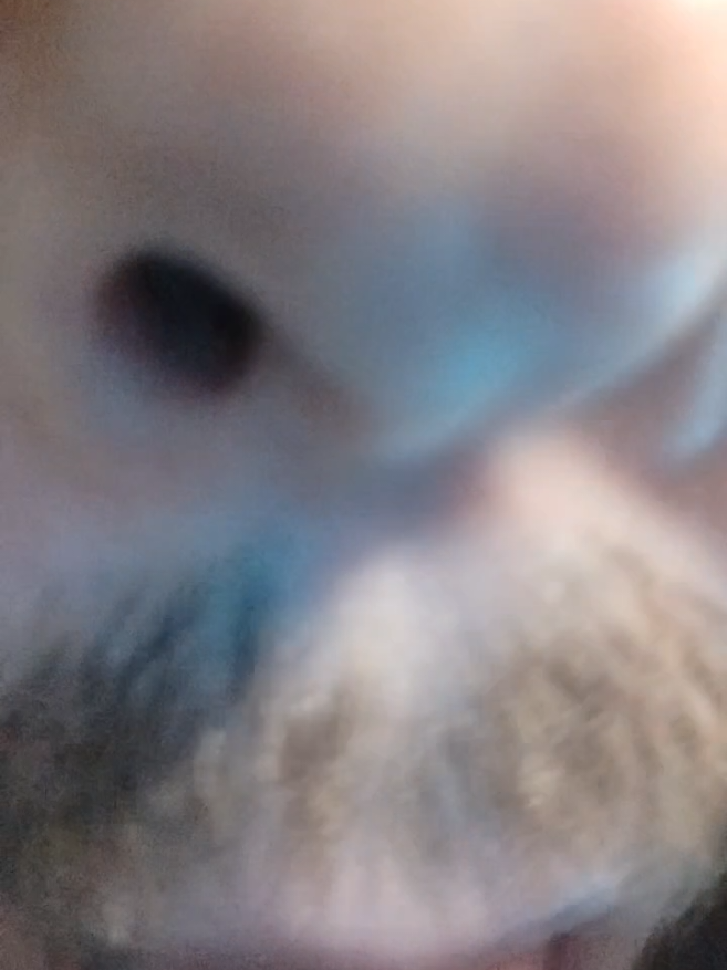 @zessteboi