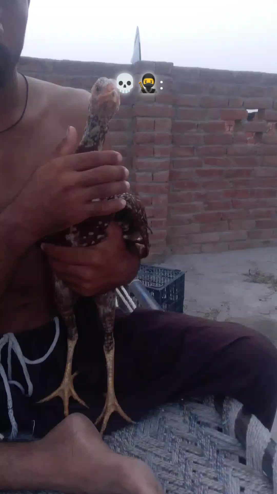 @tiktok Ka badshah