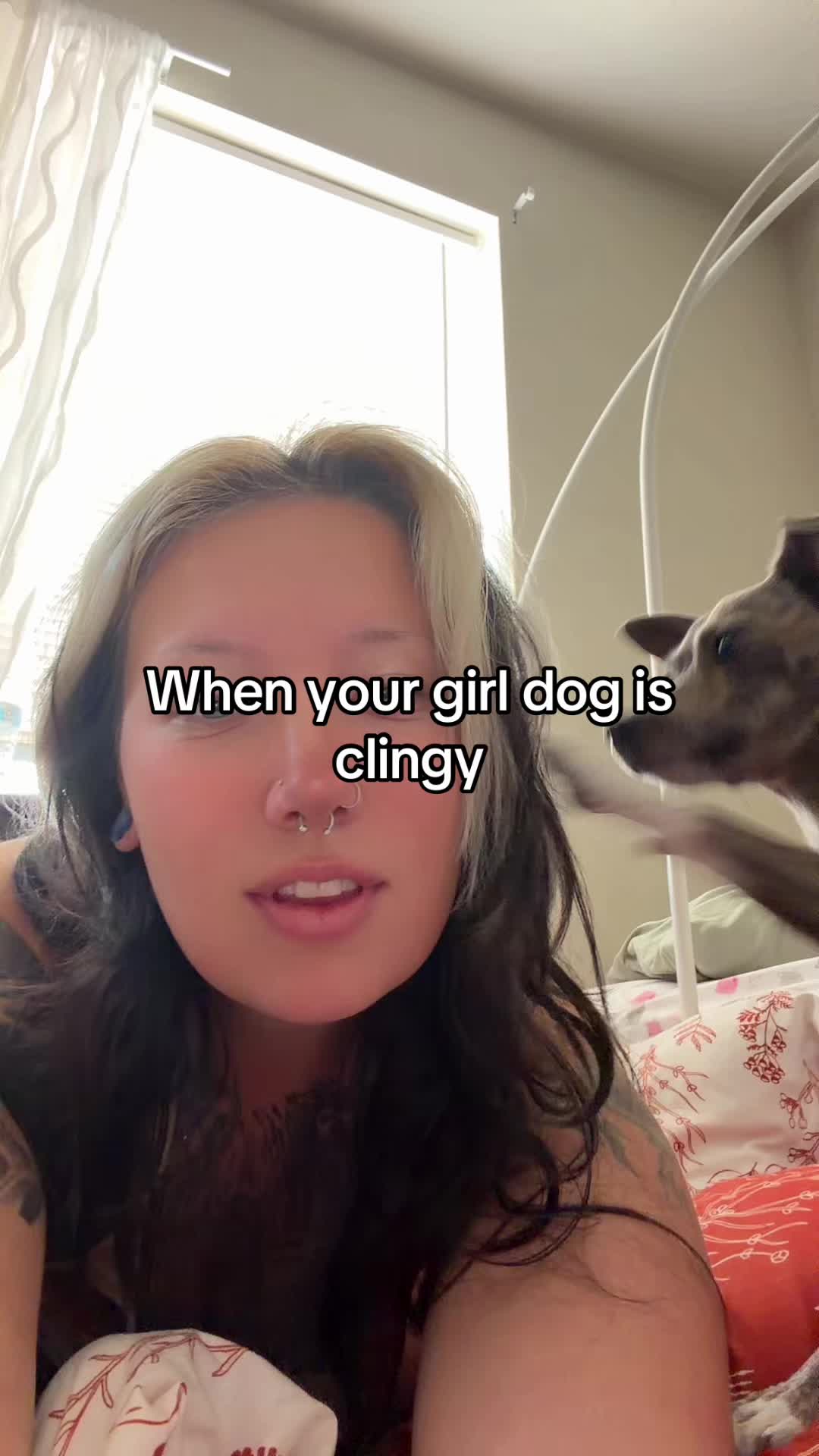 @Lexisaurus 🦕