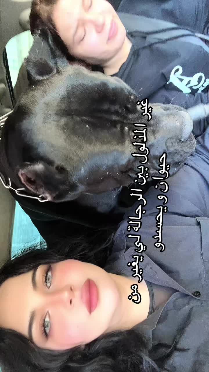 @الخلوية 🚩🥱🇩🇿