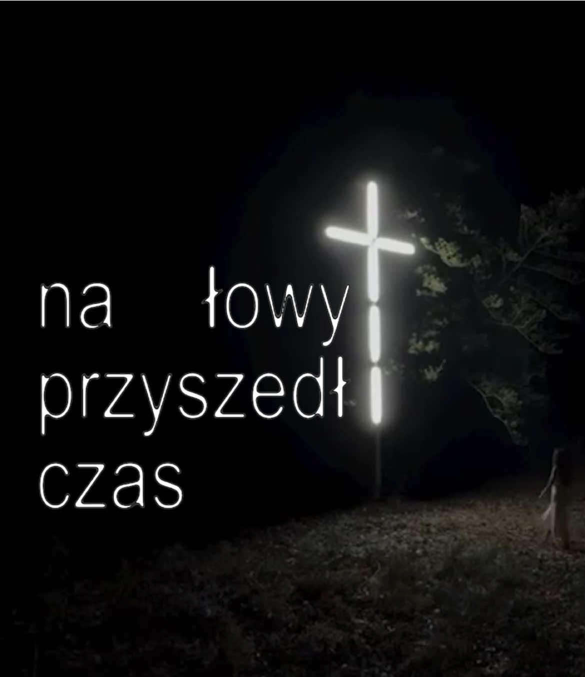 @Dawid Walkusz