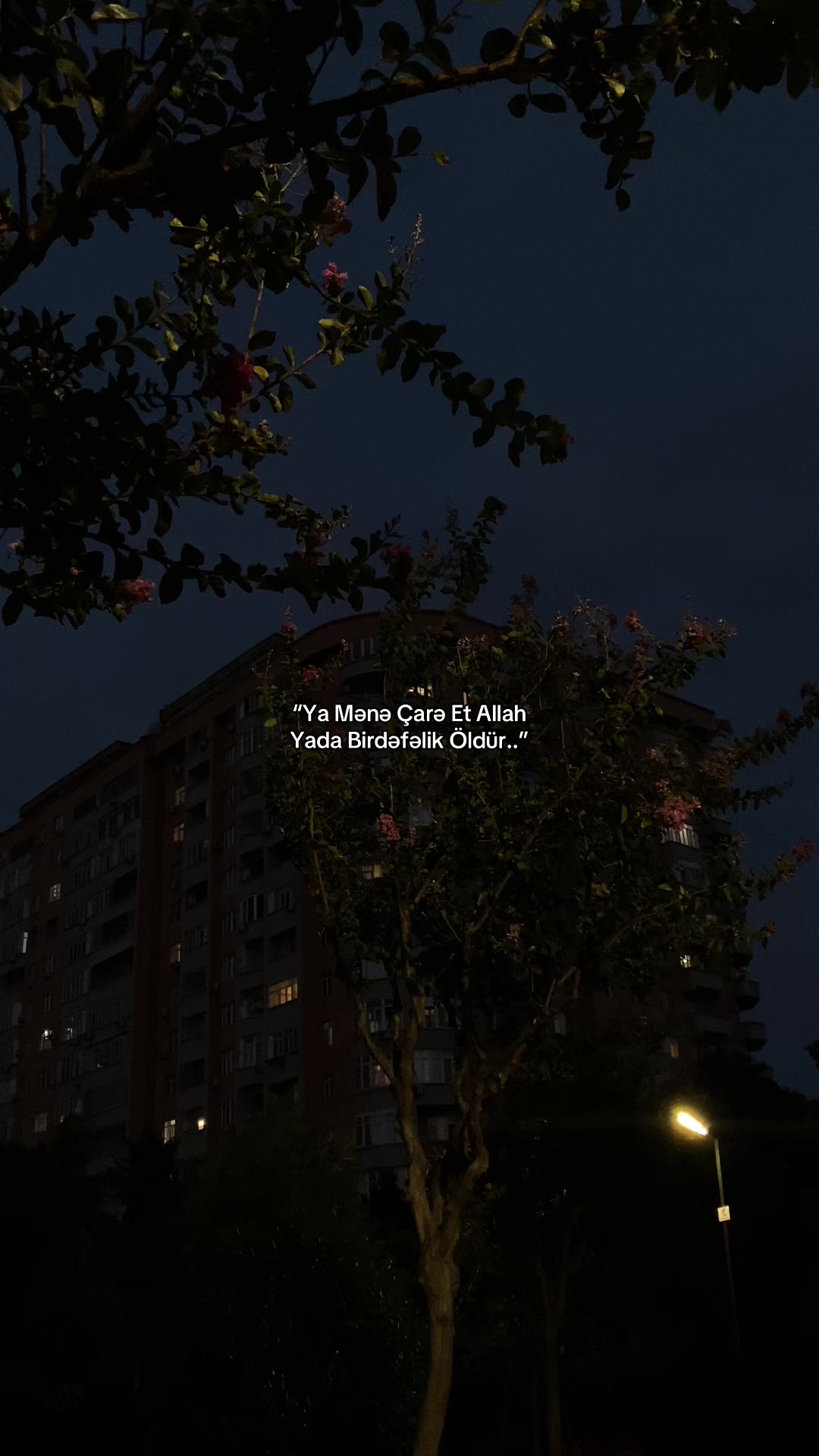 @ağayews⚡️