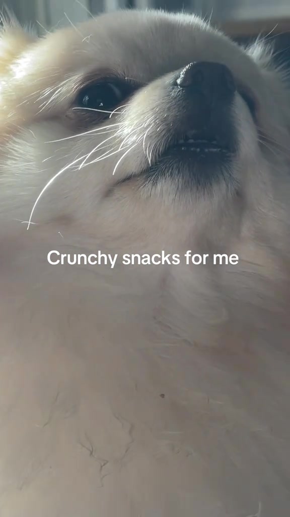 @beingmilothepom