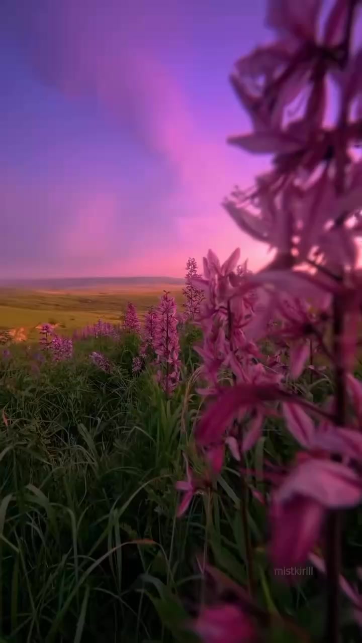 @أثر القرآن