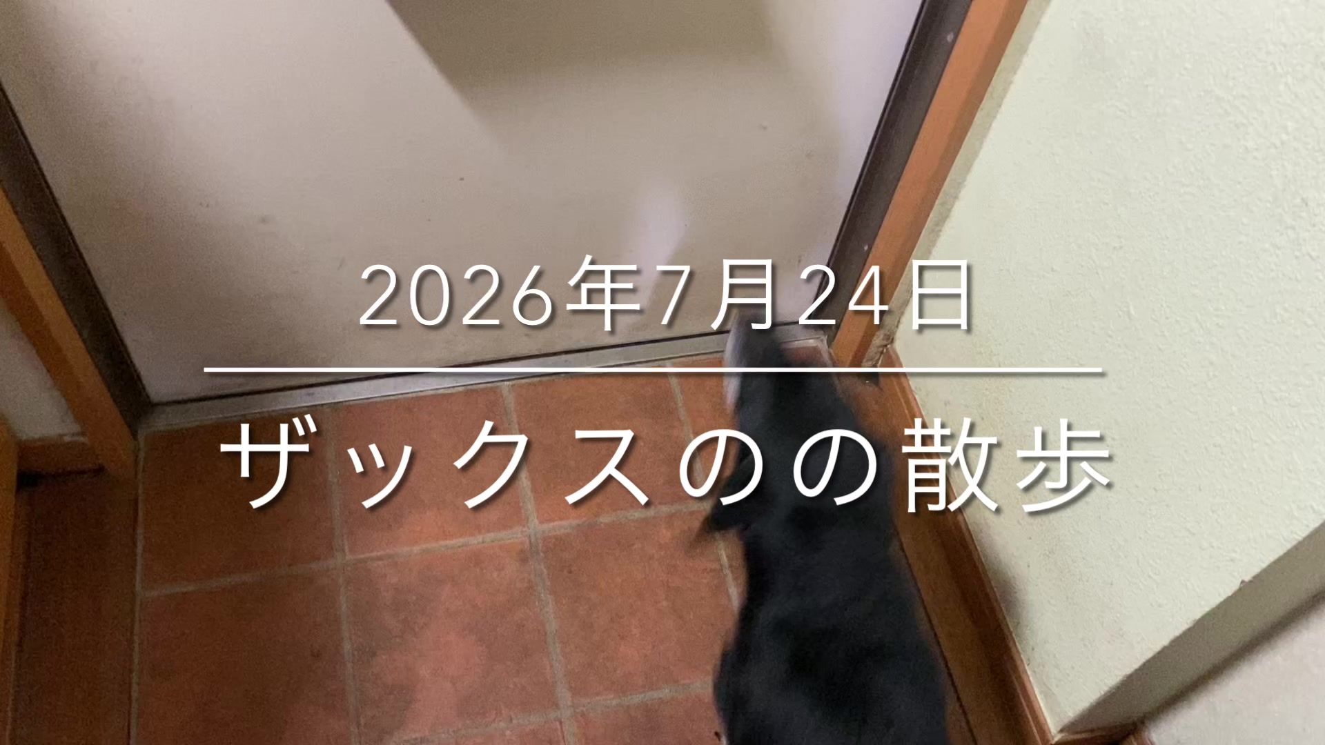 @sakihaman