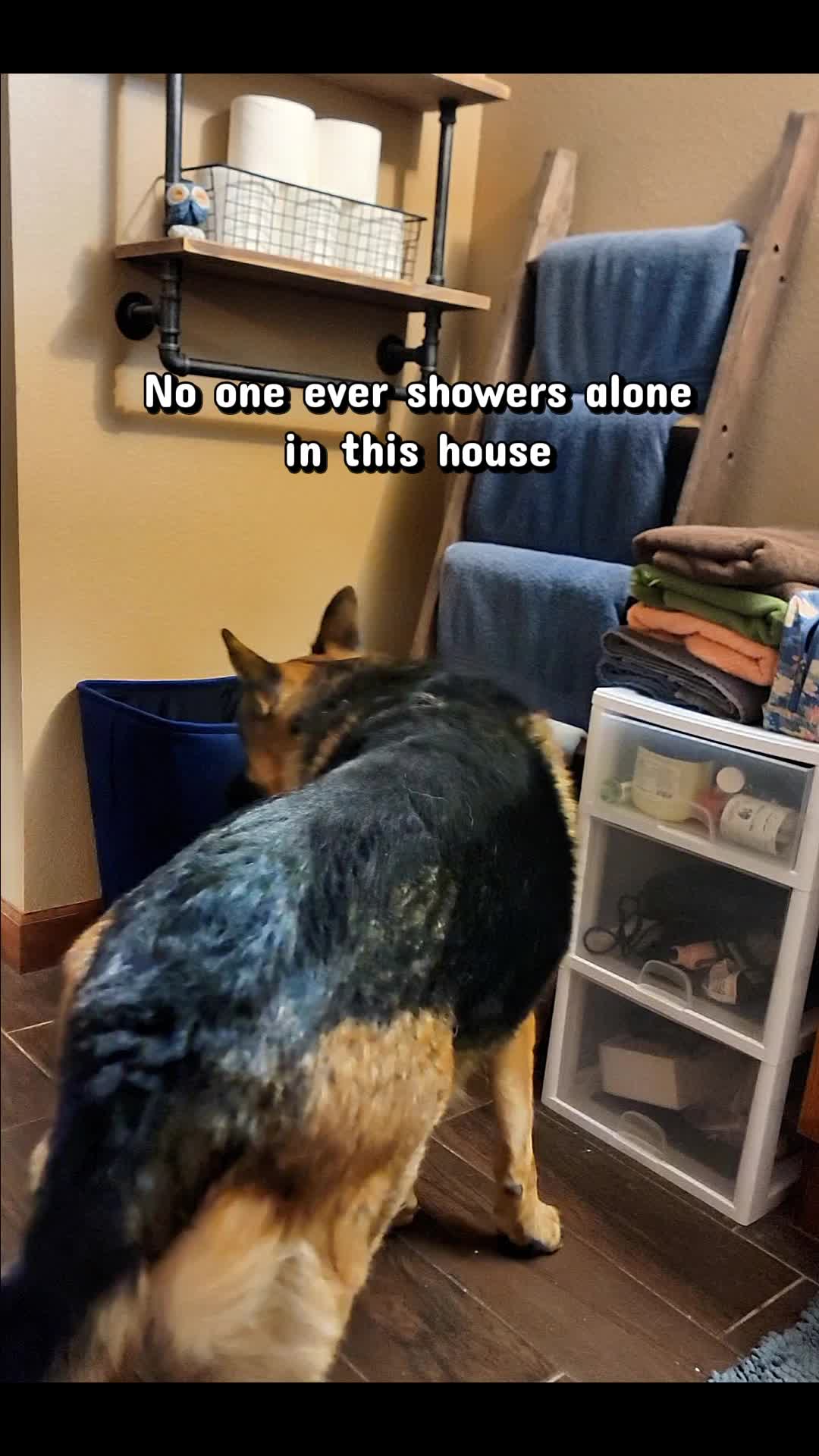 @D&D❌️ and Duke