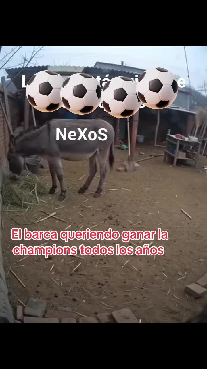 @Elgatovolador 🇬🇹 > 🇺🇸