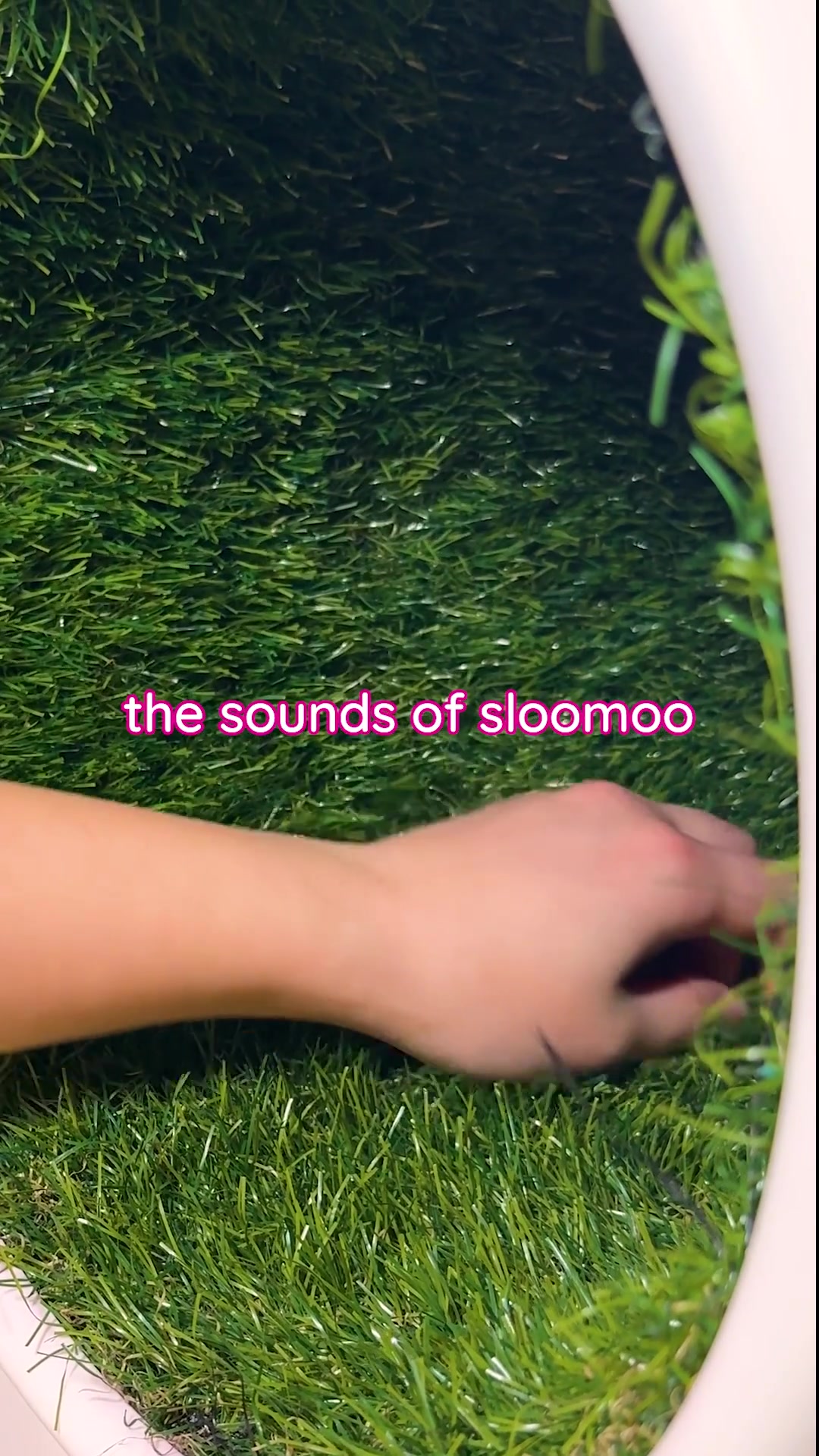 @Sloomoo Institute
