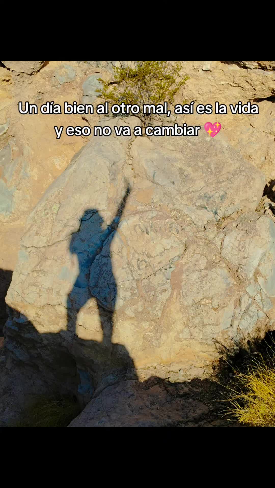 @Lul&uacute; G&oacute;mez Chapis