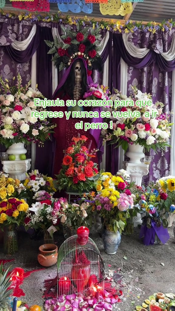 @🧿brujaunicalupitamayor🧿