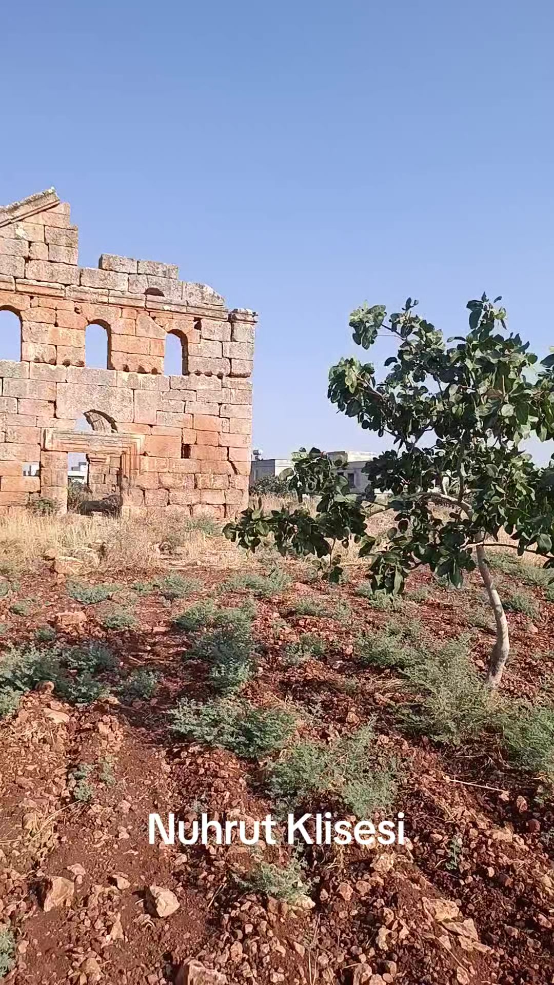 @BaranGokmen07