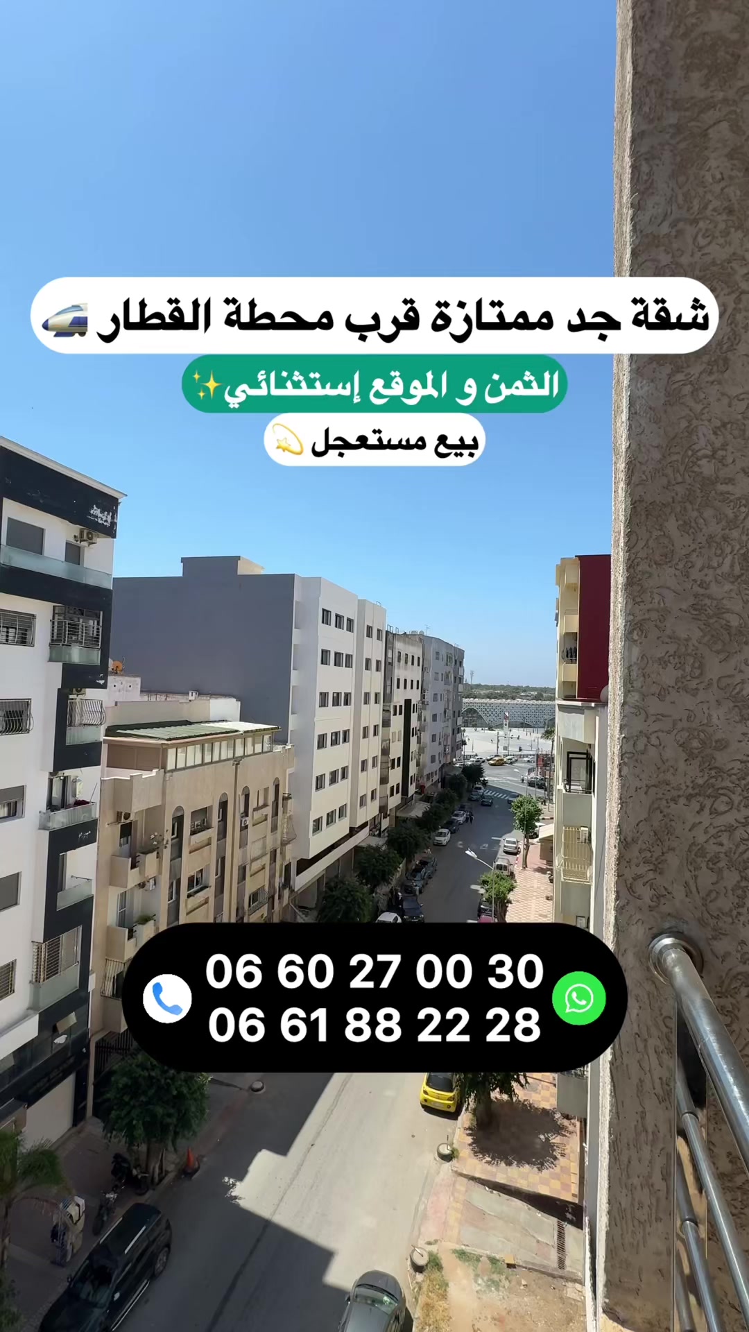 @Zakaria Haddad 🇲🇦🇵🇸
