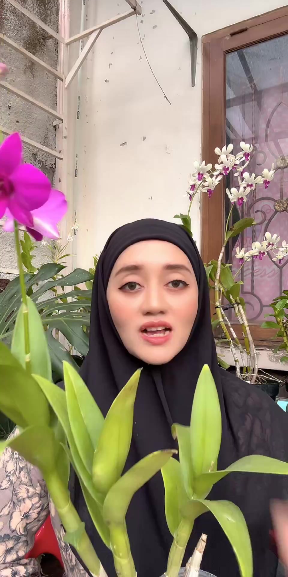@Anggina Orchid