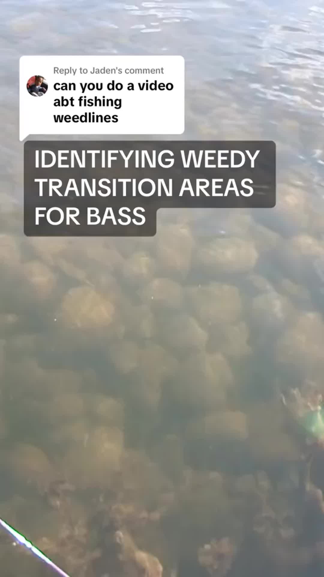 @Lunkerville