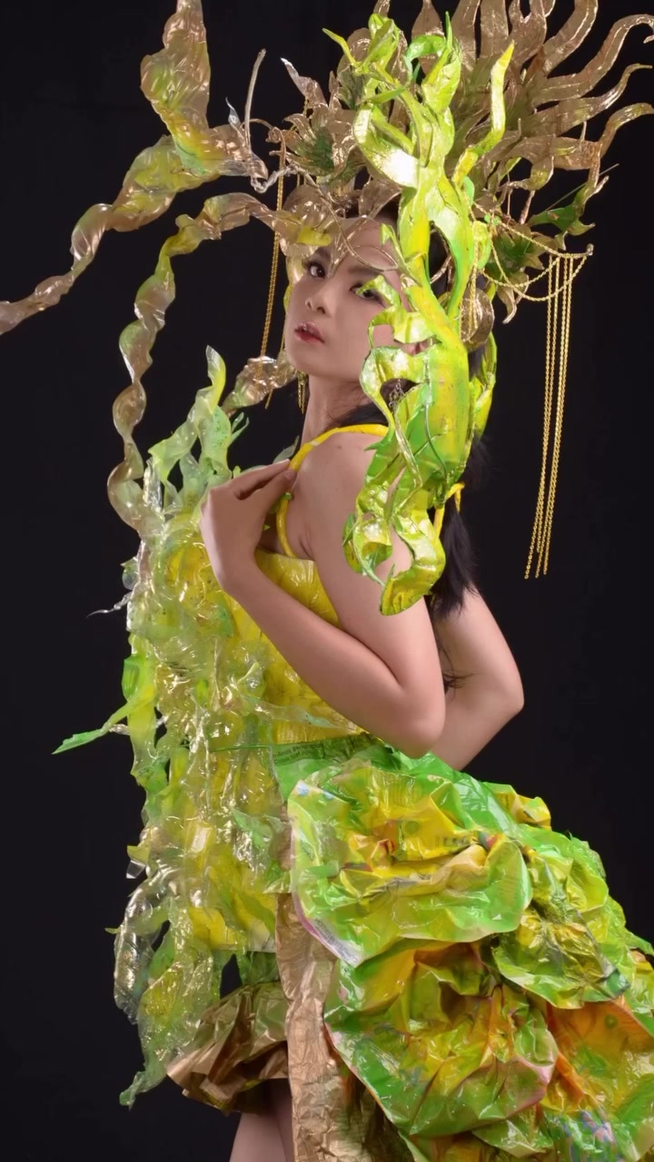 @dani art recycle costume