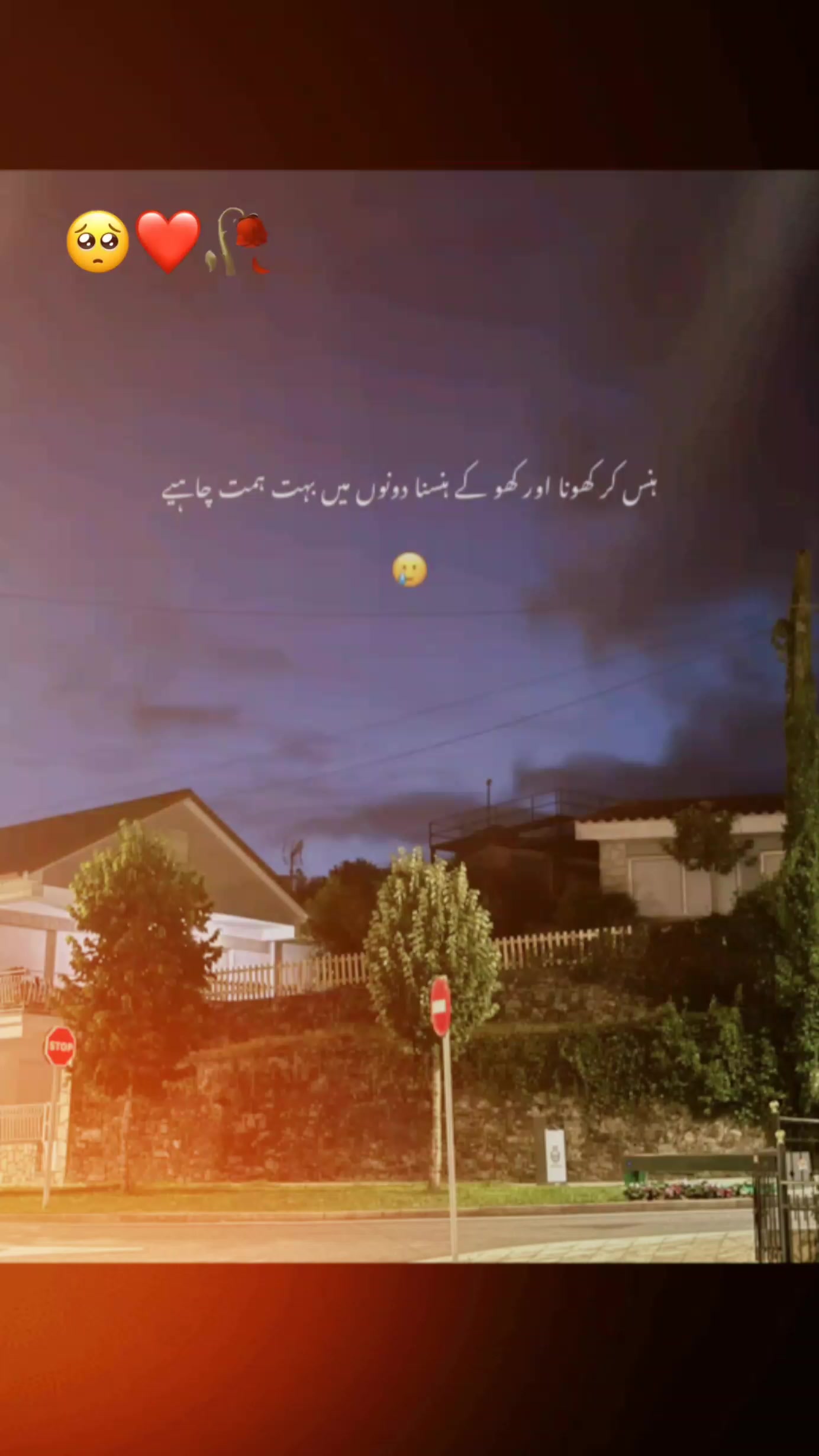 @محترمہ 🦋