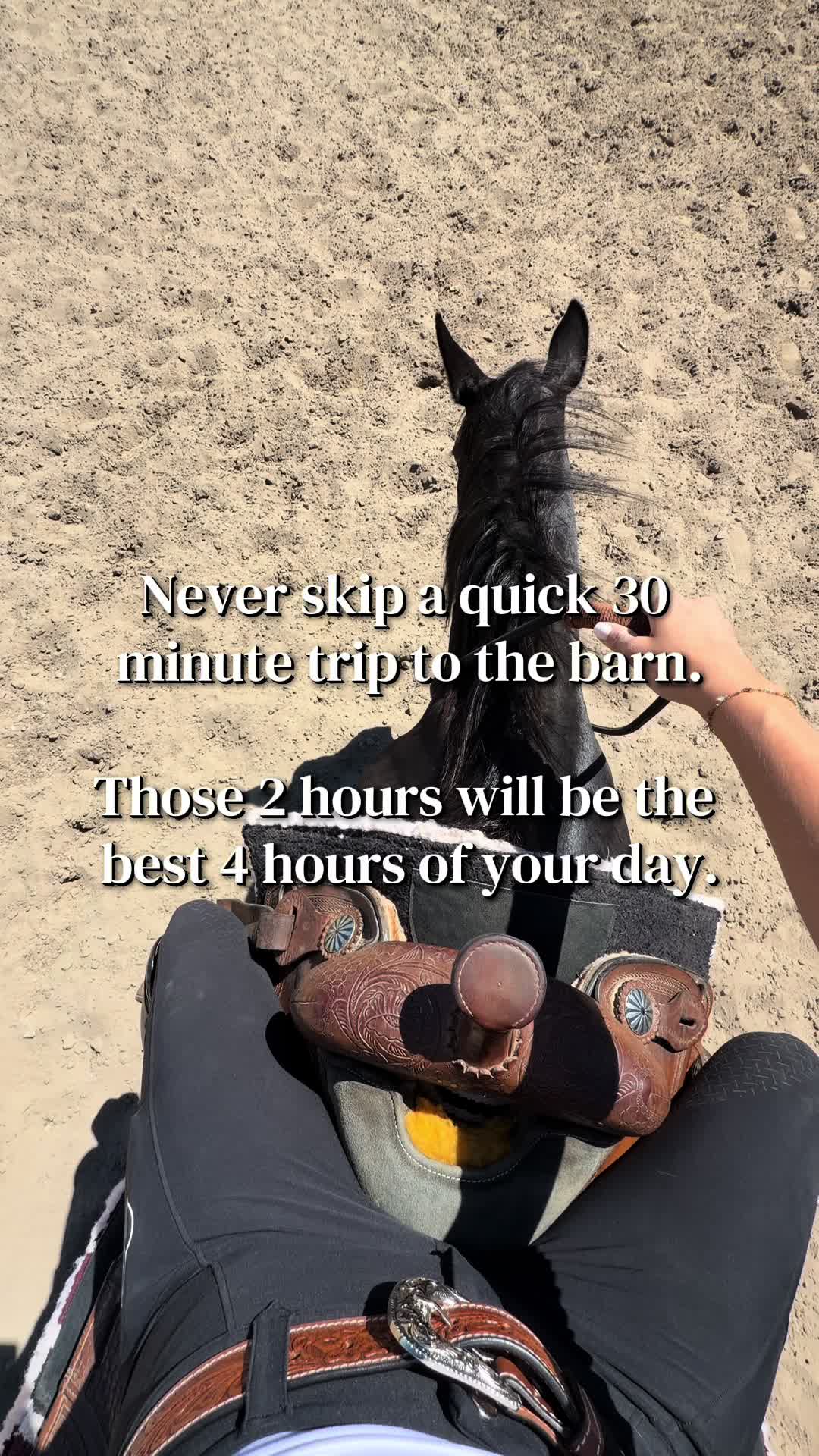 @Free Ride Equestrian