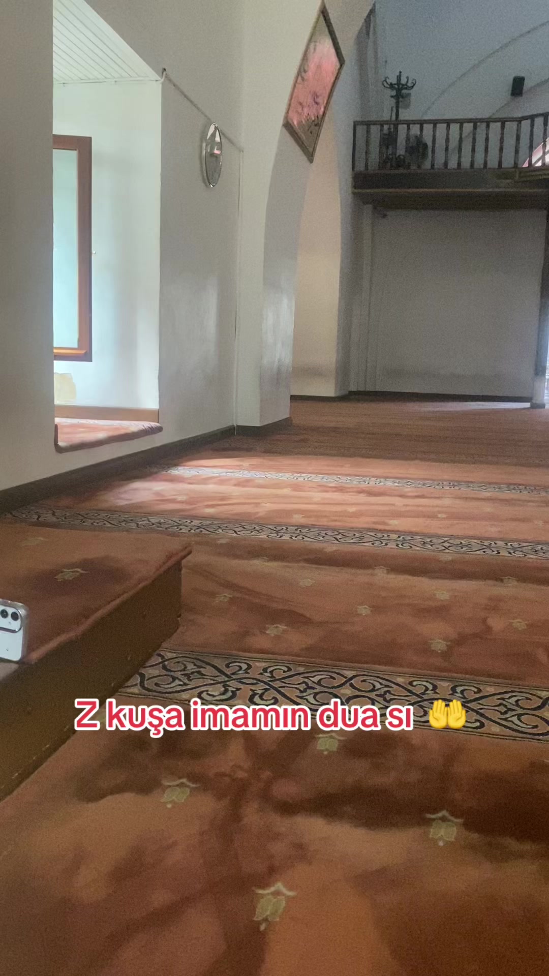 @Hayat Ormanda_60