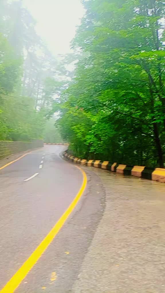 @🌹🇵🇰 Saeed bllia 🇵🇰 🌹