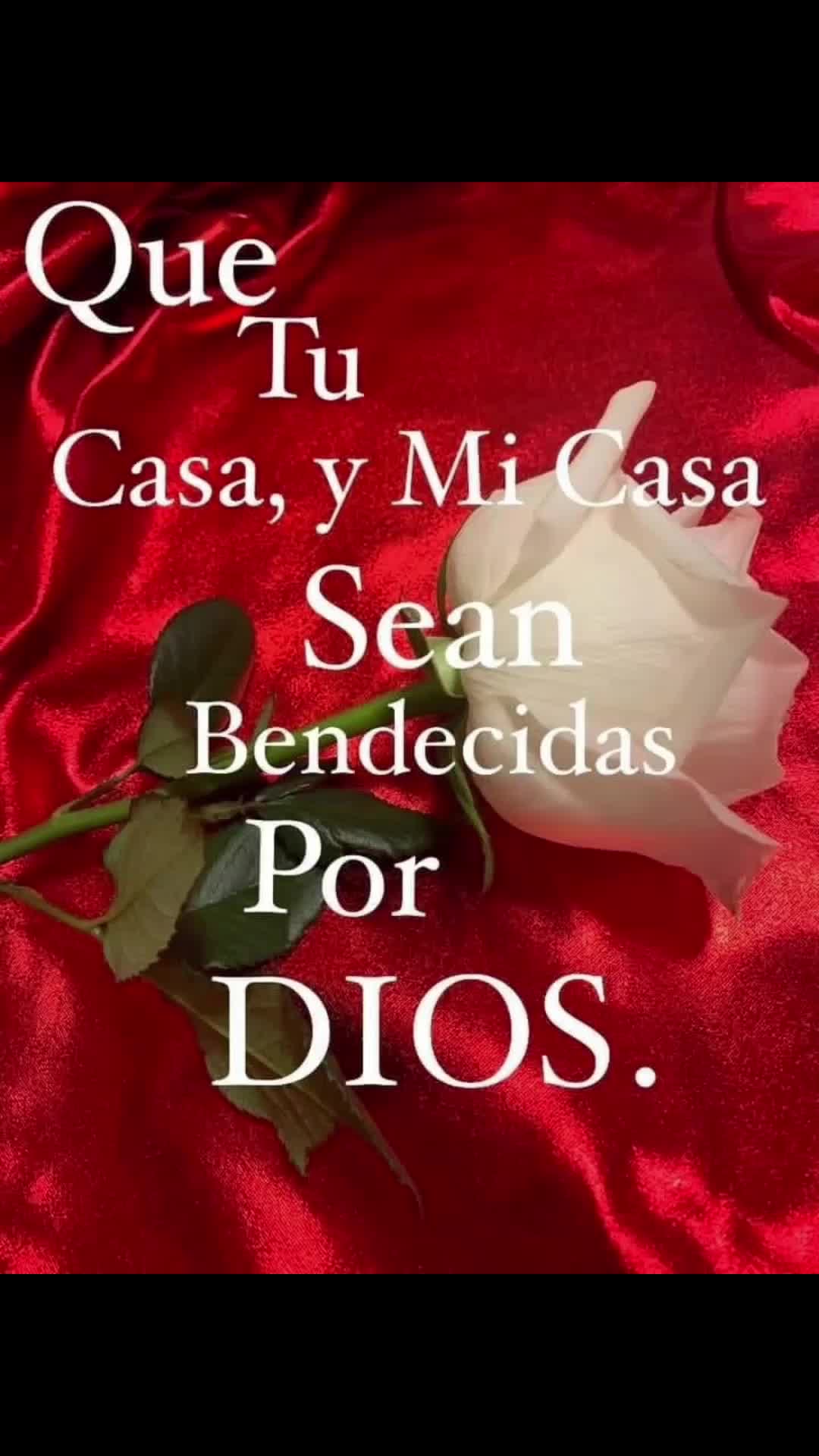 @mayra gracia❤️❤️