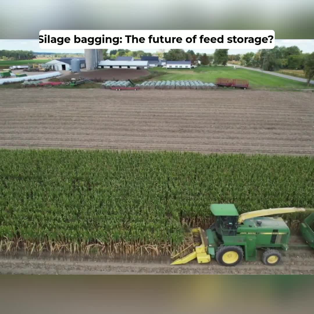 @Kip Siegler Farming