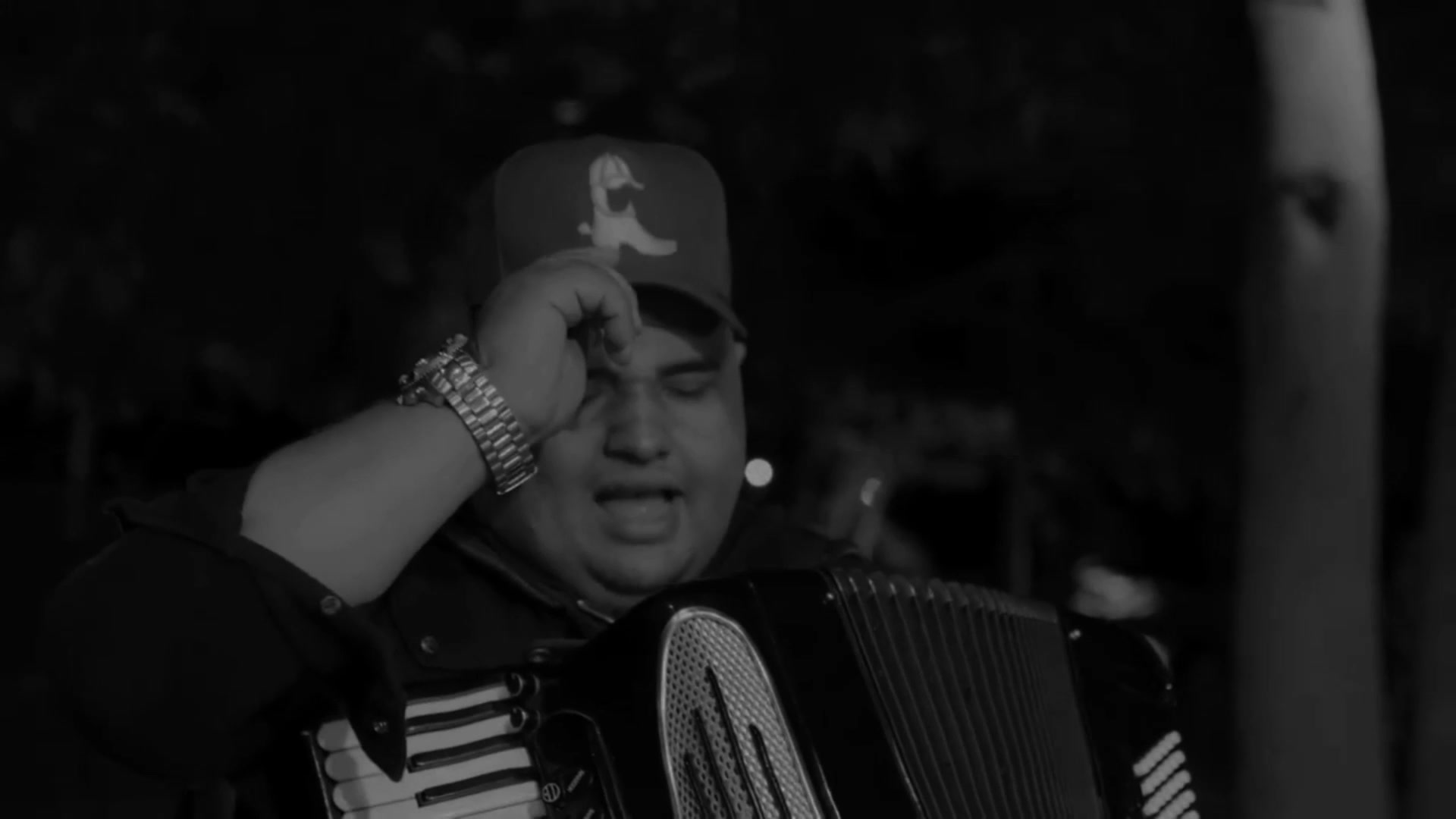 @m&uacute;sicasparastatus211 🎶