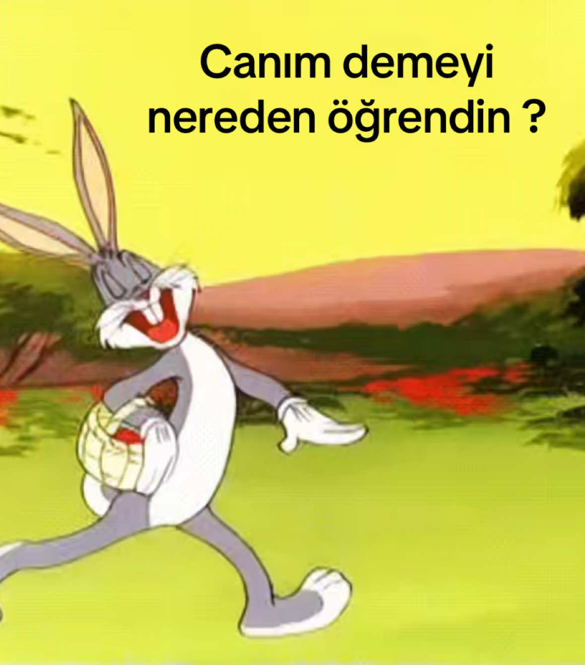 @Ceylinlendins