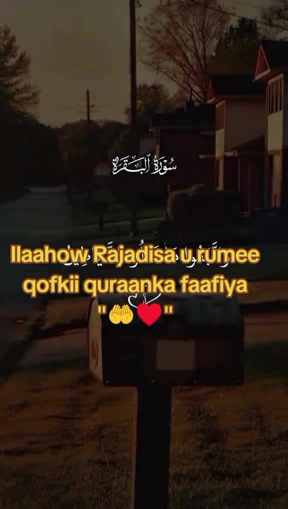 @Caanka Somalia 🇸🇴📸