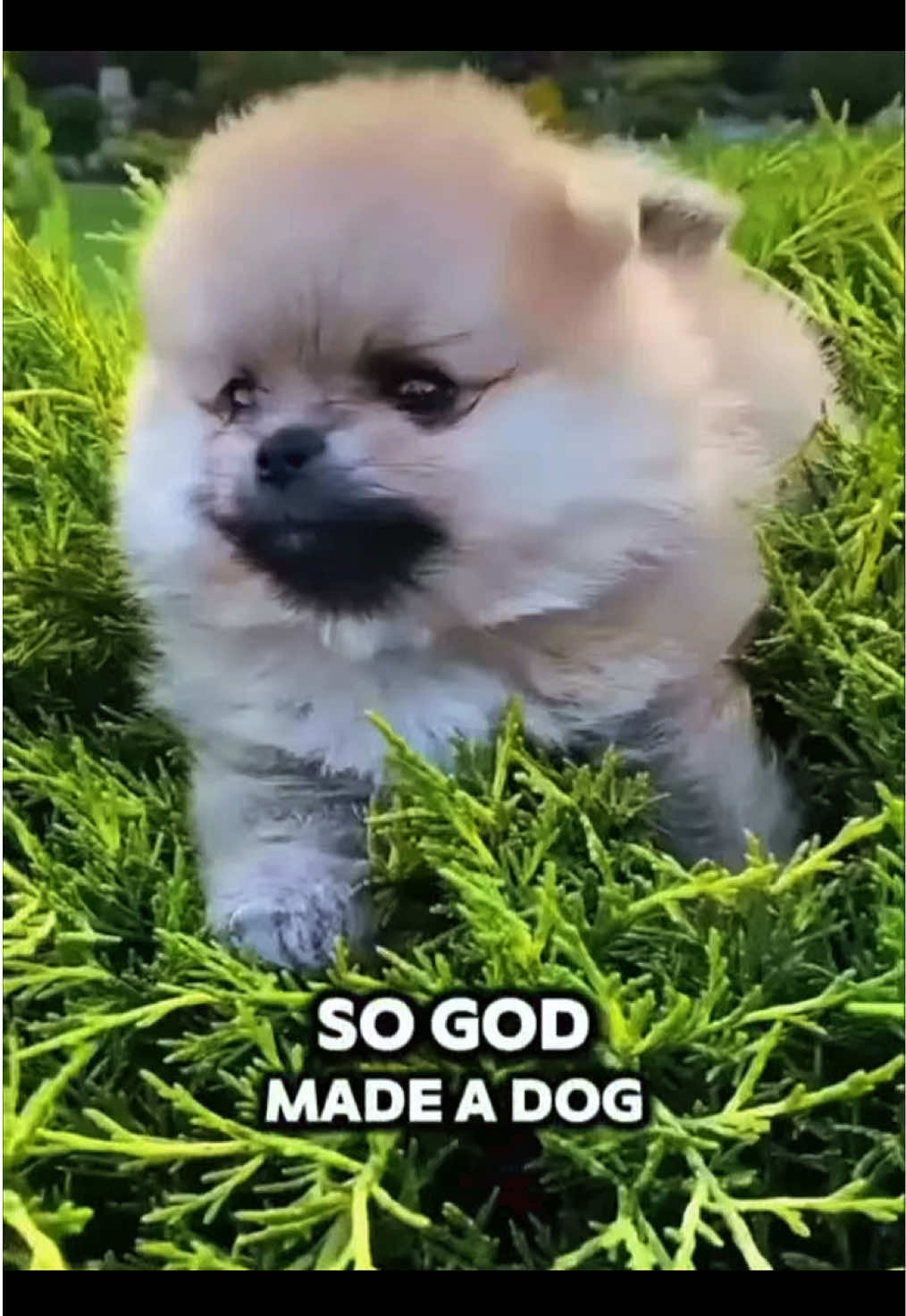 @NO MATTER WHAT