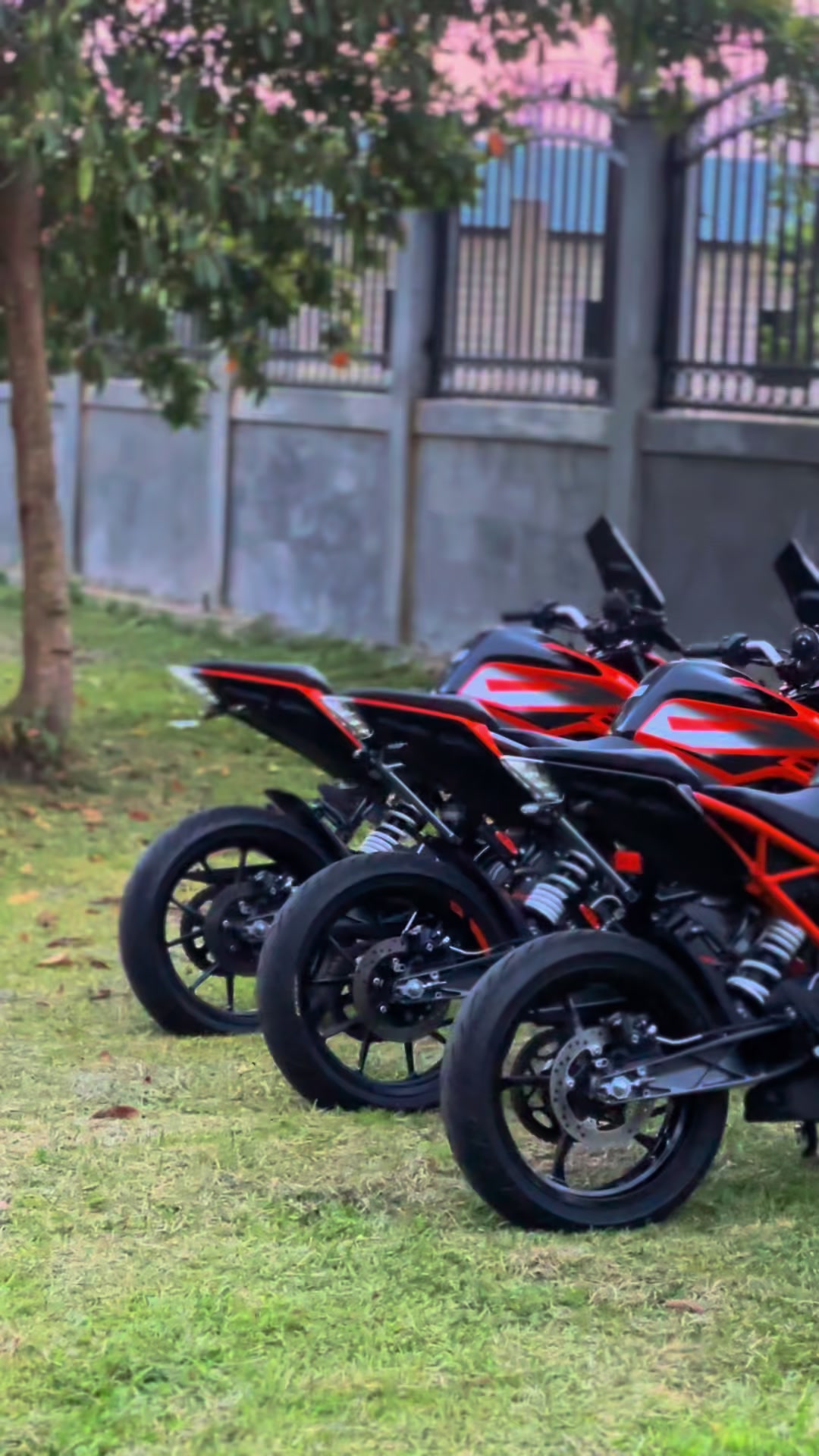 @Alex_KTM๐งก๐ธ