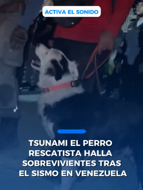 @Peri&oacute;dico El Mexicano