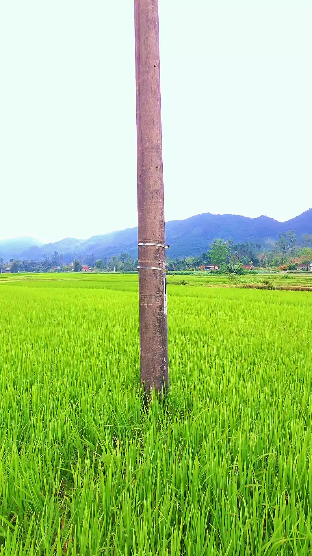 @Kết Nối Đam Mê Ong