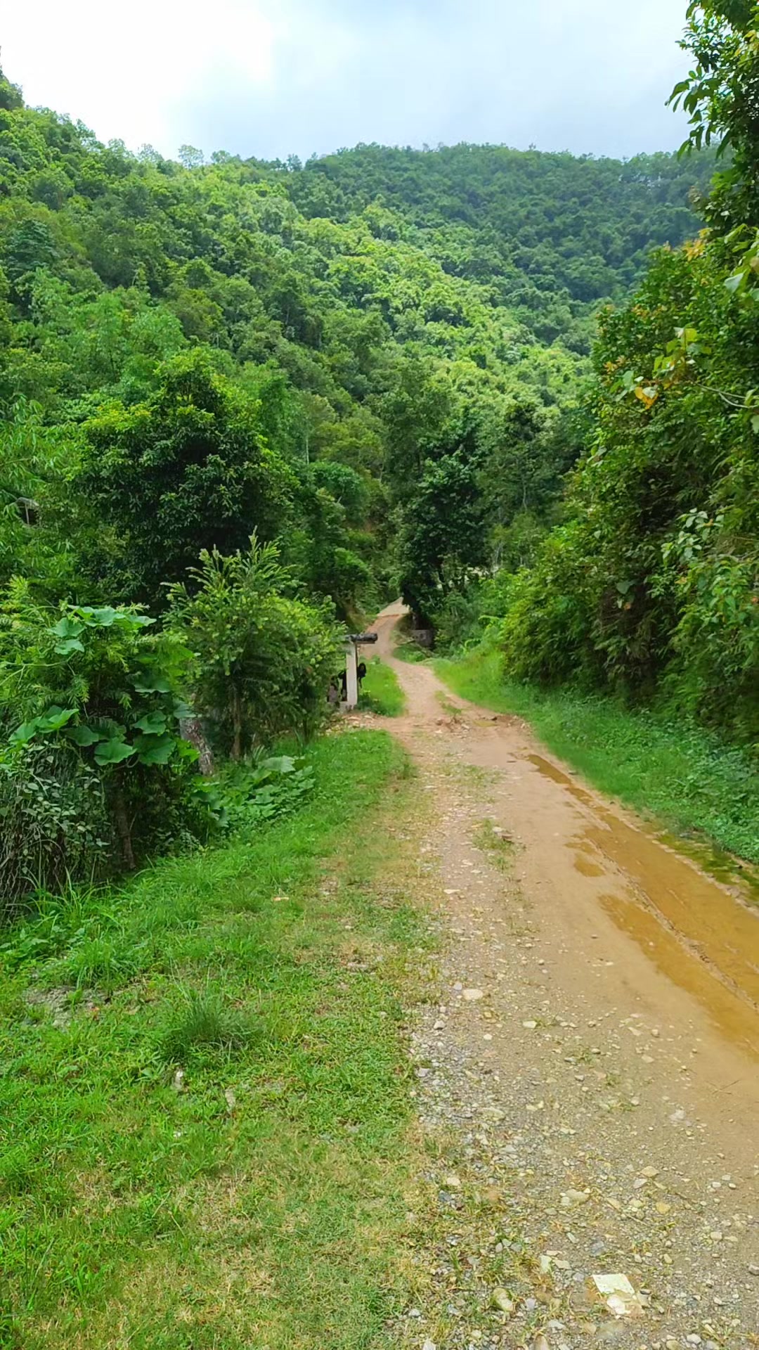 @Celakrishbasnyat